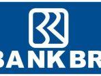 Lowongan-Kerja-Bank-BRI-untuk-Lulusan-D4-dan-S1-Buka-Sampai-28-Oktober-2024-Begini-Cara-Daftarnya.jpg