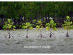 Mangrove-Pekalongan-1.jpg