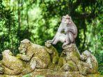 Monkey-Forest-Ubud-Bali2.jpg