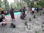 Monkey-Forest-Ubud.jpg