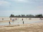 Pantai-Cemara-Tuban.jpg