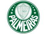 Sociedade-Esportiva-Palmeiras-1.jpg