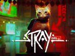 Stray