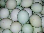 TELUR-ASIN-MASIR-Mbah-Tarni-bagikan-rahasia-cara-membuat-telur-asin-masir-tahan-lama.jpg