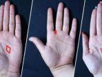 Tes-Kepribadian-Lihat-Telapak-Tangan-Anda-untuk-Mengetahui-Bagaimana-Takdir-Anda.jpg