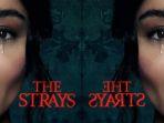 The-Strays-2023-12.jpg