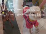 TikTokcomsanjayaarif6n-jalan-ke-Pakuwon-Mall-Surabaya-Barat.jpg
