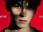 Vernon-Boy-Group-SEVENTEEN.jpg