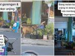 Viral-penjual-gorengan-di-bali-sering-memberi-makan-untuk-anjing.jpg