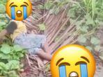Viral Video Kaki Bocah Putus Ditebas ODGJ di Buton, Korban Tak Nangis Sama Sekali, Ini Kronologinya