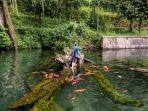 Wisata-Mata-Air-Mudal-Wonosobo.jpg