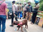 anjing-pelacak-milik-dari-Polda-Jabar-dikerahkan-cari-Yana-Supriatna.jpg