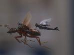 ant-man-and-the-wasp.jpg