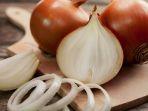 bawang-bombay.jpg