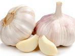 bawang-putih.jpg