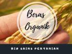 belajar-dari-rumah-tvri-beras-organik-bio-sains-pertanian.jpg