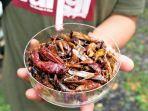 belalang-goreng.jpg