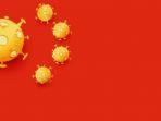 bendera-china-virus-corona-678.jpg