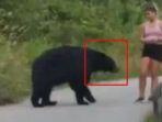 beruang-hitam-menghampiri-wanita-muda-di-jalur-coquitlam-kanada.jpg