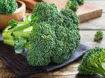 brokoli.jpg