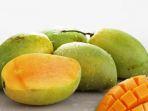 buah-mangga-segar.jpg