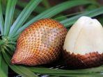 buah-salak.jpg