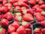 buah-strawberry-ilustrasi-98.jpg
