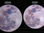 bulan-perigee-apogee.jpg