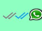 centang-biru-whatsapp.jpg