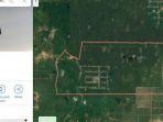 desa-wonorejo-kalimantan-selatan-pada-google-mapsrepro-bidik-layar-google-maps.jpg