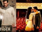 ek-tha-tiger.jpg
