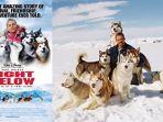 film-eight-below-2006-2.jpg