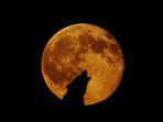 full-wolf-moon-bulan-serigala-penuh-gerhana-bulan-penumbra.jpg