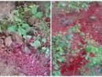 geger-cairan-merah-mirip-darah-mengalir-di-tanah-di-sukoharjo-buat-warga-heboh.jpg