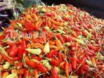 harga-cabai-lokal-di-bali-bisa-tembus-hingga-rp-150-ribu-per-kilogram.jpg