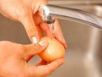 hati-hati-mencuci-telur-sebelum-dimasak-dapat-memicu-bahaya-bagi-tubuh-kita.jpg