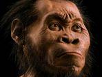 homo-erectus-12345.jpg