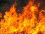 ilustrasi-kebakaran-6.jpg