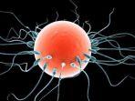 ilustrasi-sperma-2422020-2.jpg