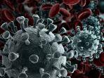ilustrasi-virus-corona-covid-19.jpg