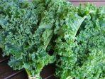 istimewa-Kale-kerap-disandingkan-dengan-makanan-yang-mengandung-protein.jpg