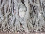 kepala-buddha-yang-muncul-dari-akar-pohon-di-ayutthaya-thailand.jpg
