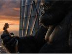 king-kong-2005.jpg