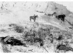 kondisi-di-wounded-knee-setelah-pembantaian-terjadi-terlihat-beberapa-orang-dan-kuda-mati.jpg