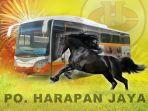 kuda-po-harapan-jaya.jpg