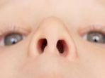 Tak Banyak yang Tahu, Lubang Hidung Sebelah Kiri dan Kanan Punya Fungsi Berbeda: Ini Penjelasannya