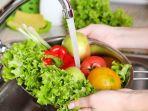 mencuci-sayur-dan-buah.jpg