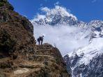 nepal-tutup-jalur-pendakian-ke-gunung-everest.jpg