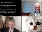 pengacara-tanpa-sengaja-menggunakan-filter-wajah-kucing-saat-sidang-online.jpg