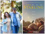 poster-film-The-Starling-2021.jpg